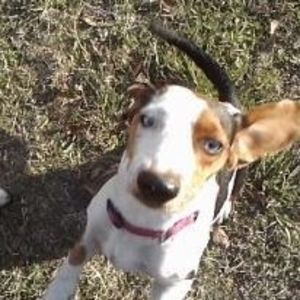 Meet your Posher, Jackie